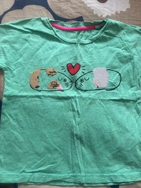 Boden Girls Mint Green Shirt with Sequined Guinea Pig Heart